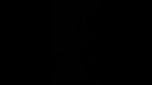 Sony Handycam DCR-TRV285E