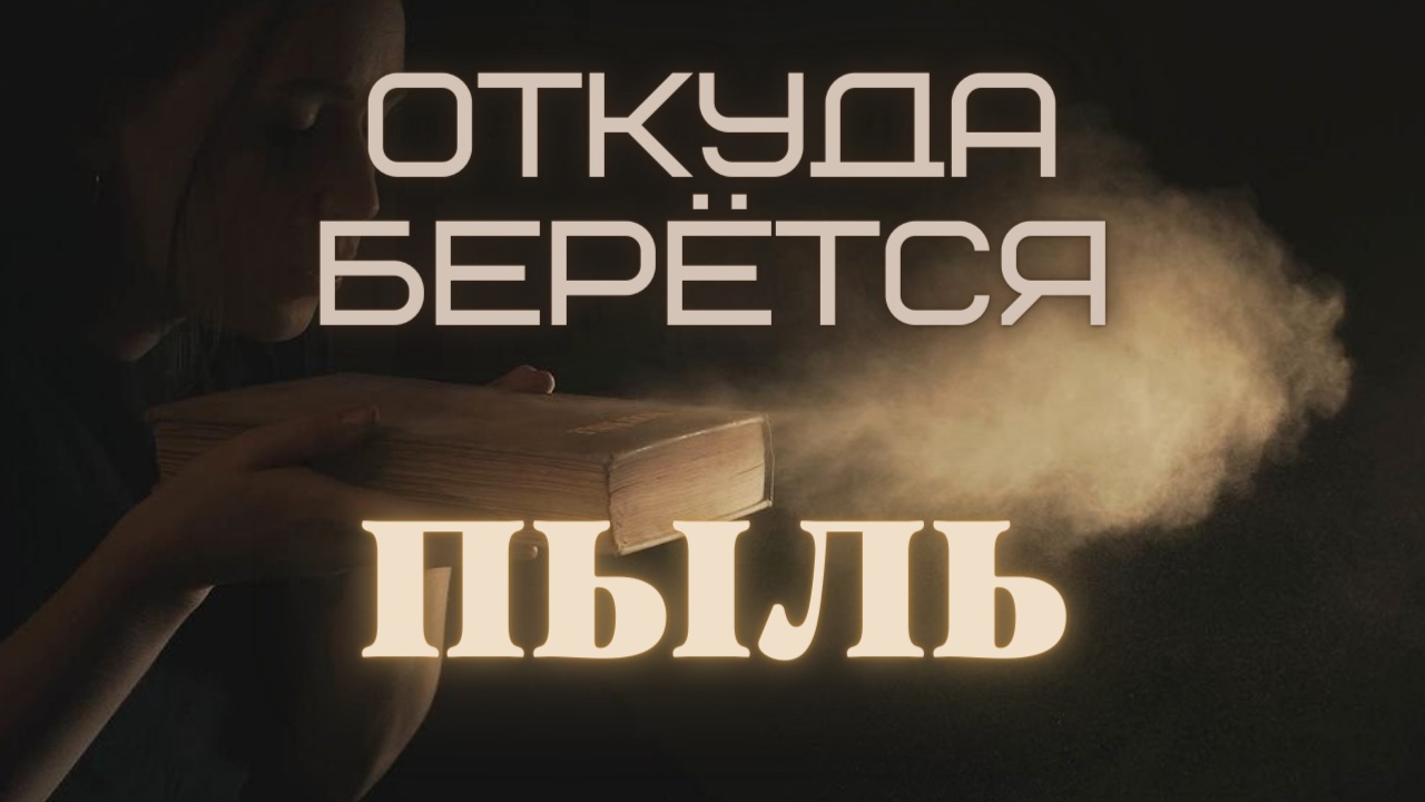 ПЫЛЬ. Что это такое и откуда она берется?