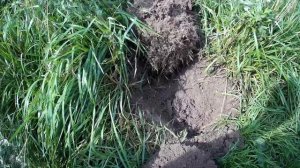 Металлоискатель tx-850 TIANXUN TX-850 в деле