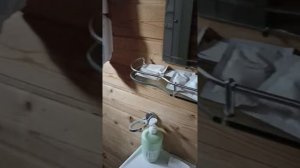 Танай шале 2022