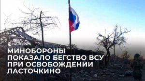 Минобороны показало бегство украинских военных при освобождении Ласточкино в ДНР