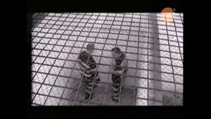 Сергей Какенов( Какен ) – Свечи в Храме Горят Памяти Владимира Зятькова