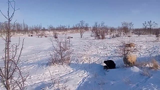 24 января 2024 г. (6).mp4 смотреть онлайн