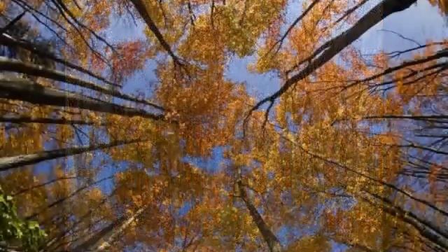 Осень... смотреть онлайн