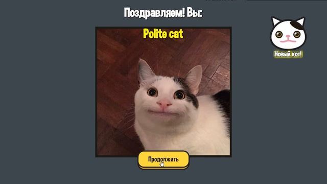 Обзор игры - Какой ты мемный кот?
