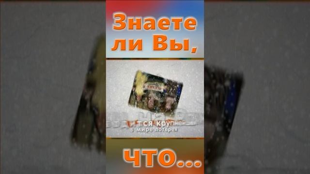 Знаете ли вы, Что? Рождество