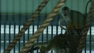 В "Роевом ручье" рассказали об особенностях кормления животных зимой