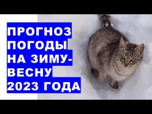 Какой будет зима 2023 года? Прогноз погоды на весну 2023 года