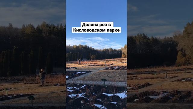 Долина роз в Кисловодском парке