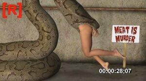 Anaconda swallows a woman