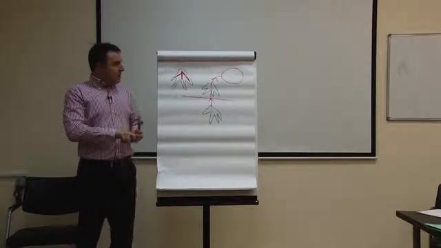 Школа рейки. Чем питается эгрегор рейки смотреть онлайн