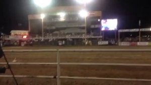 CO State Fair Champion Bronc