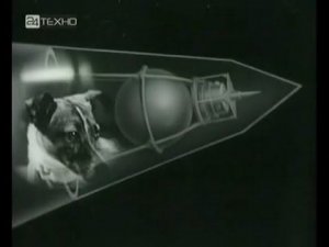 Спутник 2. Лайка