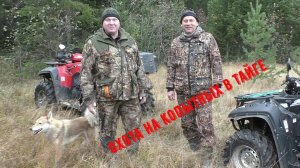 Охота на копытных в тайге ч.1. Hunting for ungulates in the taiga.
