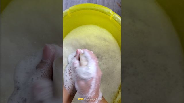 Любимки