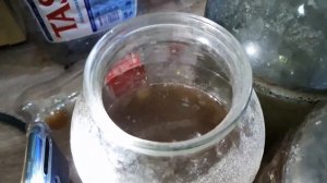 СТАРТОВЫЙ КОРМ ДЛЯ МАЛЬКА! От А до Я! Как добыть, развести, очистить и  кормить им мальков! Часть 1