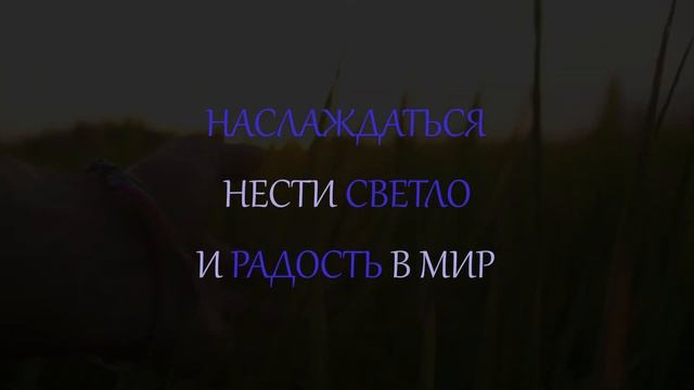 Счастье сейчас. Как стать более счастливым.