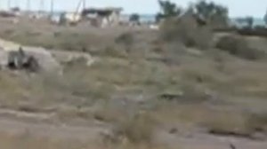 010 Пионерский лагерь голубая волна Или то что от него осталось   Балхаш ВИДЕО   Каталог файлов   П