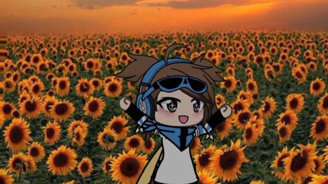 [Это подсолнухи] смотреть онлайн