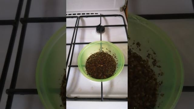Как сделать кофе, без кофемашины.