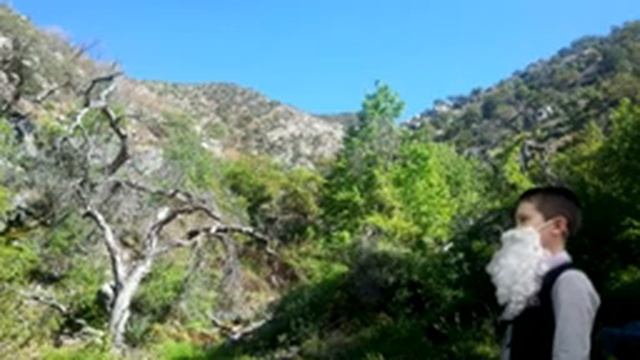 Легенда о Большой и Малой медведице смотреть онлайн