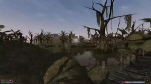 Running across Morrowind in 4 minutes (sightseeing)