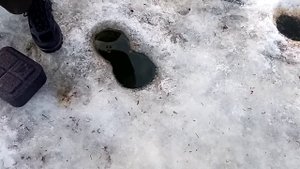 Нельма на мотыля