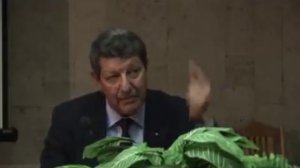 Андрей Синельников. Братские союзы средневековья