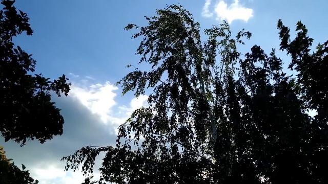 10 августа-ПРОХОРОВ ДЕНЬ. НАРОДНЫЕ ПРИМЕТЫ.Что нельзя делать