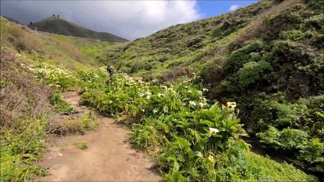 Долина диких калл. /Калифорния /США /День рождение любимой! смотреть онлайн