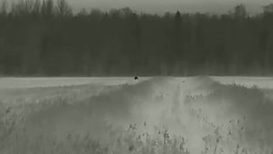 работа тепловизора расстояние около 400 метров!!!