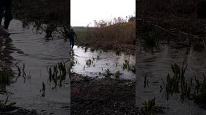 Рыбалка в г. Белореченске