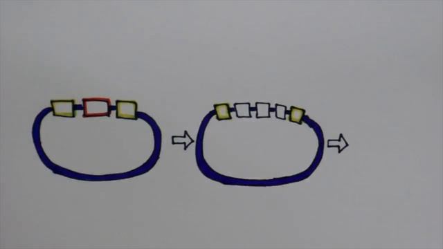 WM iGEM 2017 Project Description смотреть онлайн