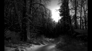 Как умершая мать сыну жизнь спасла. Чудо или совпадение? | Жизненные истории