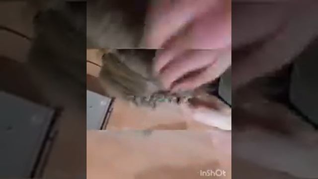 Причёска. Легко и просто смотреть онлайн