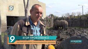 Семья Дениса Лебедева в День носорога посетила зоопарк