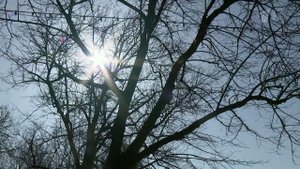 Погода в столичном регионе установила первый в этом году температурный рекорд