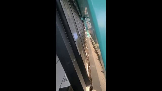 Запуск четырех фотосепараторов ZERVI-16 для сортировки риса! смотреть онлайн