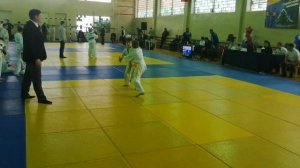 Дзюдо Елец мальчики 29 кг