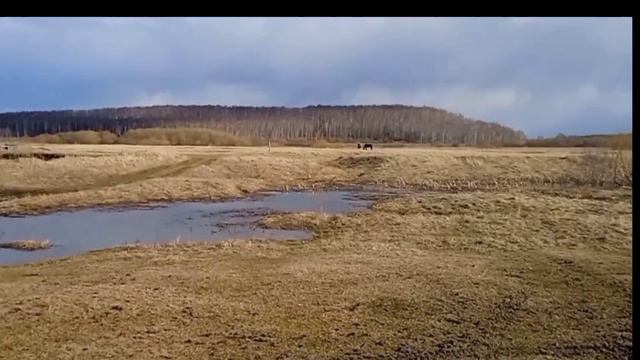 Река Серта 3 мая 2023г смотреть онлайн