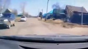 ОГРОМНАЯ СОБАКА НАПАЛА НА РЕБЕНКА КРАСНОЯРСКИЙ КРАЙ
