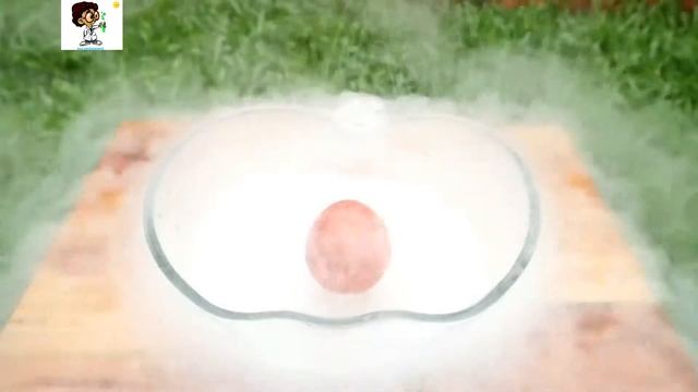 Посмотрите, что произойдет, если рыба заморожена с жидким азотом смотреть онлайн