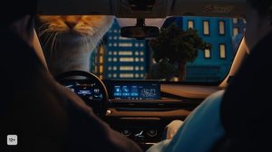 "Всё творится в Yappy"