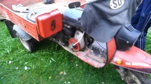 Муравей не заводился лет 7