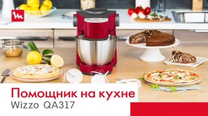 Moulinex Wizzo QA317 - надежный помощник на кухне