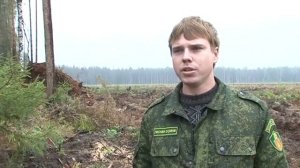 Подготовка к Посадке леса