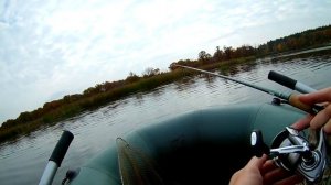 Ловля щуки на спиннинг осенью