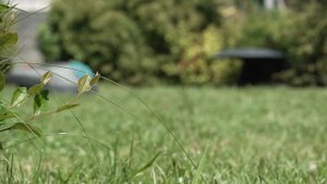 Робот газонокосилка Gardena R50Li. Демонстрационная установка на участке клиента.