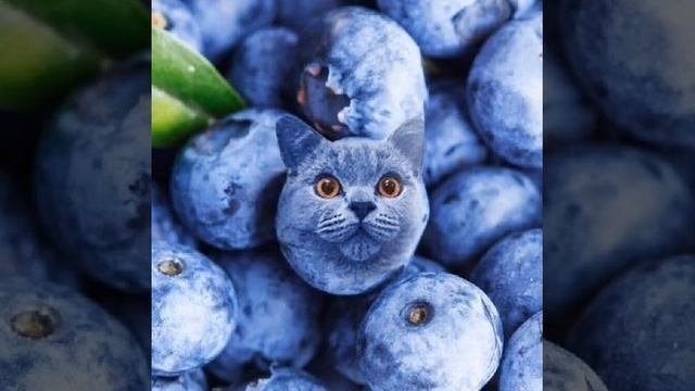 ОЧЕНЬ познавательно