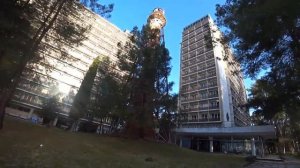 Абхазия 2021 \ Пицунда \Обзор окрестности.